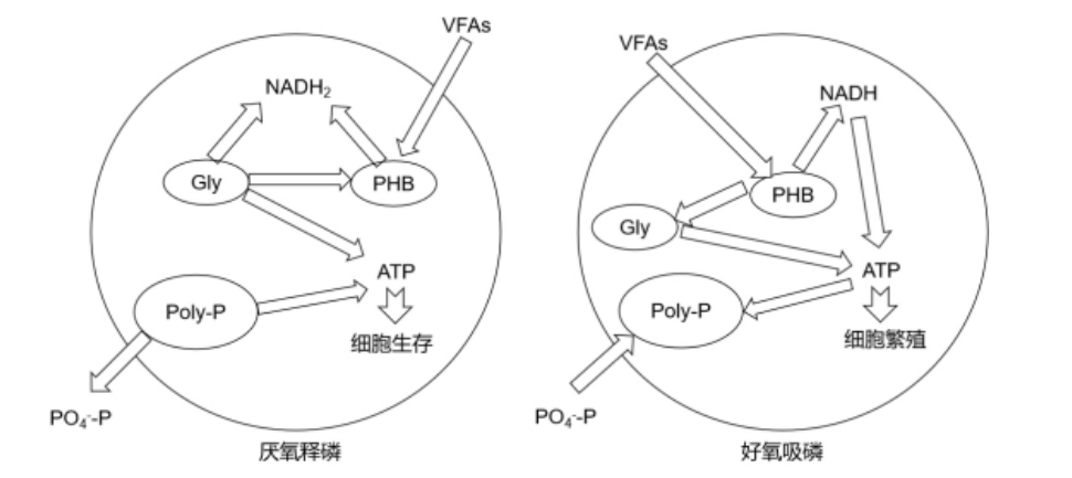 微信圖片_20240517111507.png